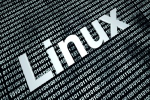 TheMerkle_Linux Vulnerability