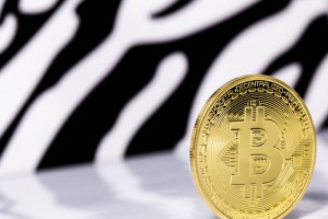 TheMerkle_Bitcoin Adult