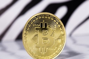 TheMerkle_Bitcoin Node BCoin