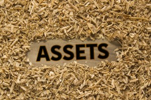 TheMerkle_Asset