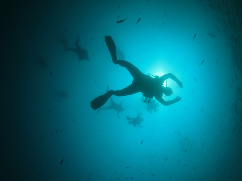 TheMerkle_Scuba Diving