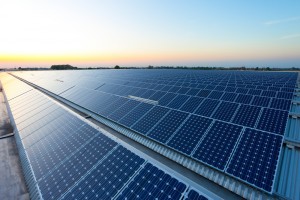 TheMerkle_Solar Energy