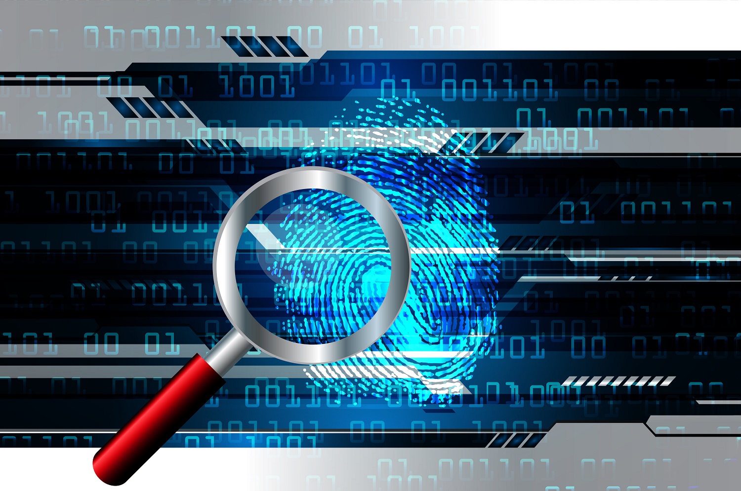 TheMerkle_Bitcoin Wallet Scan