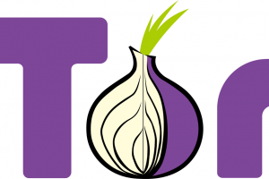 TheMerkle_Tor FBI PlayPen