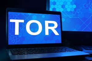TheMerkle_Tor