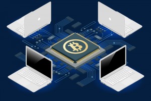 TheMerkle_Bitcoin Adopter