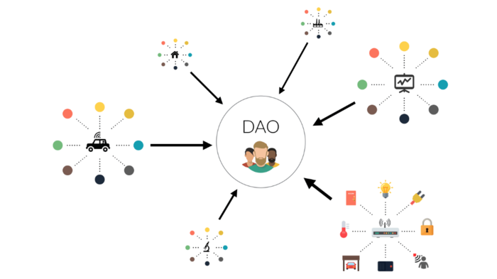 TheMerkle_The DAO