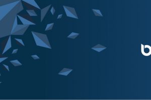 TheMerkle_Bitwala Altcoins