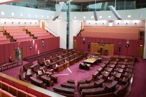 TheMerkle_Senate Bill Tor Illicit user