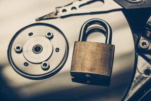 TheMerkle_Leaked Database