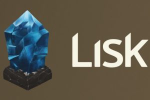 TheMerkle_Lisk Testnet