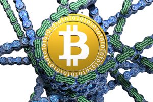 bitcoin payments