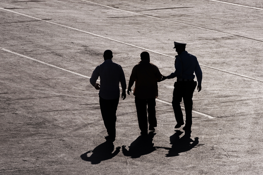 TheMerkle_Lizard Squad Arrests