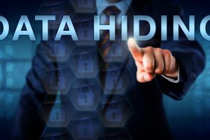 TheMerkle_Data Hiding Magento