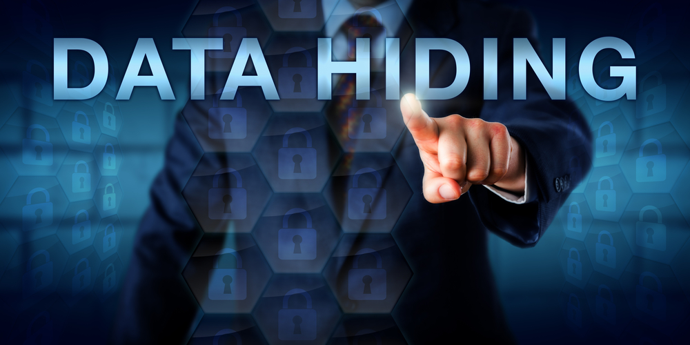 TheMerkle_Data Hiding Magento