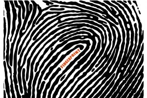 TheMerkle_Warrant Fingerprinting Mobile Devices