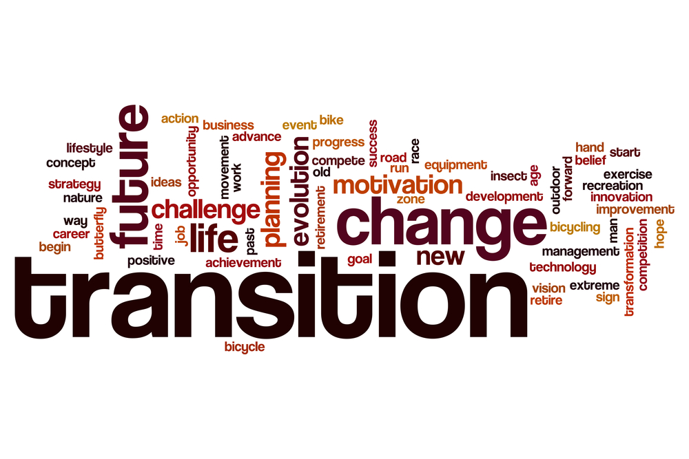 TheMerkle_Brexit Transitional Deal