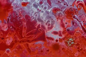 TheMerkle_Top Biohacking