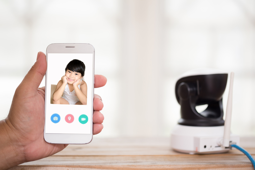 TheMerkle_Mirai Botnet IP Cameras