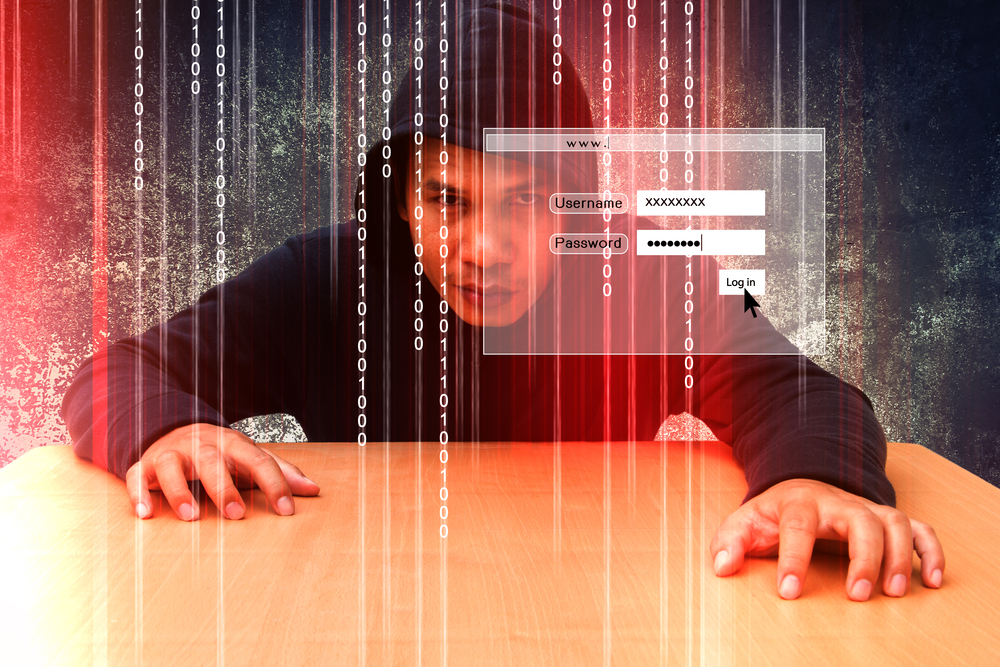 fraud ecommerce
