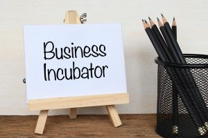 top bitcoin incubators