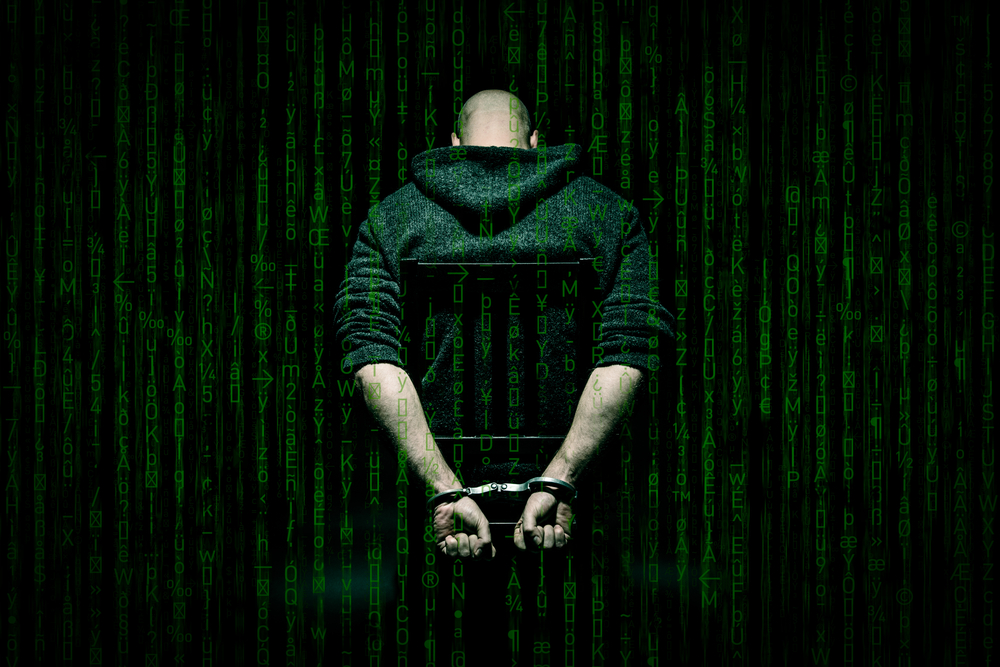 TheMerle_Top Hacker Arrests