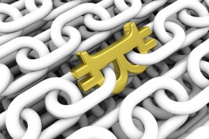 TheMerkle Top Bitcoin Block Explorers