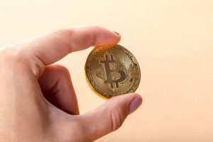 TheMerkle_Dutch Pirate Party Bitcoin
