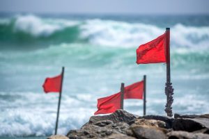 TheMerkle_OneCoin Red Flags