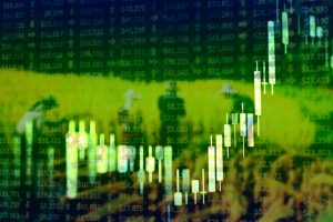 1broker not scam