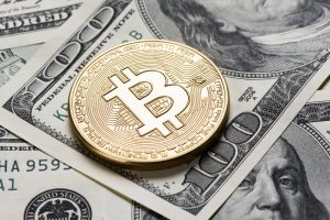 bitcoin vs cash vs gold
