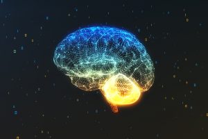 brain transplant
