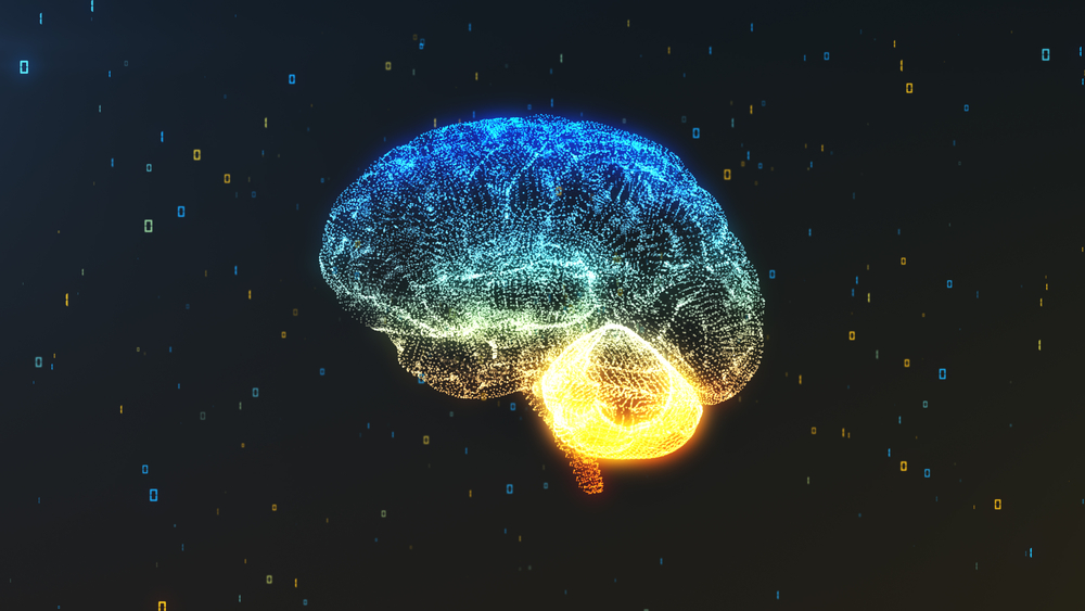 brain transplant