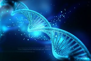 TheMerkle DNA Data Storage