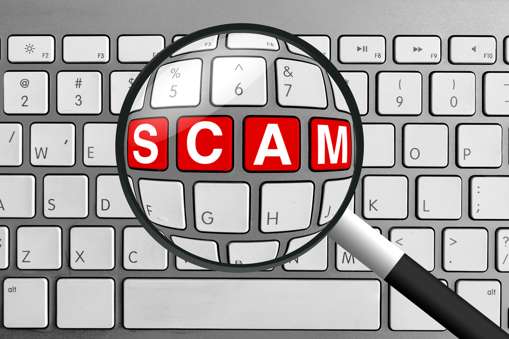 TheMerkle Scam BitCompany