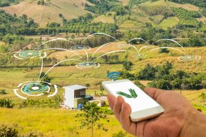 TheMerkle Tarzan Crop monitoring