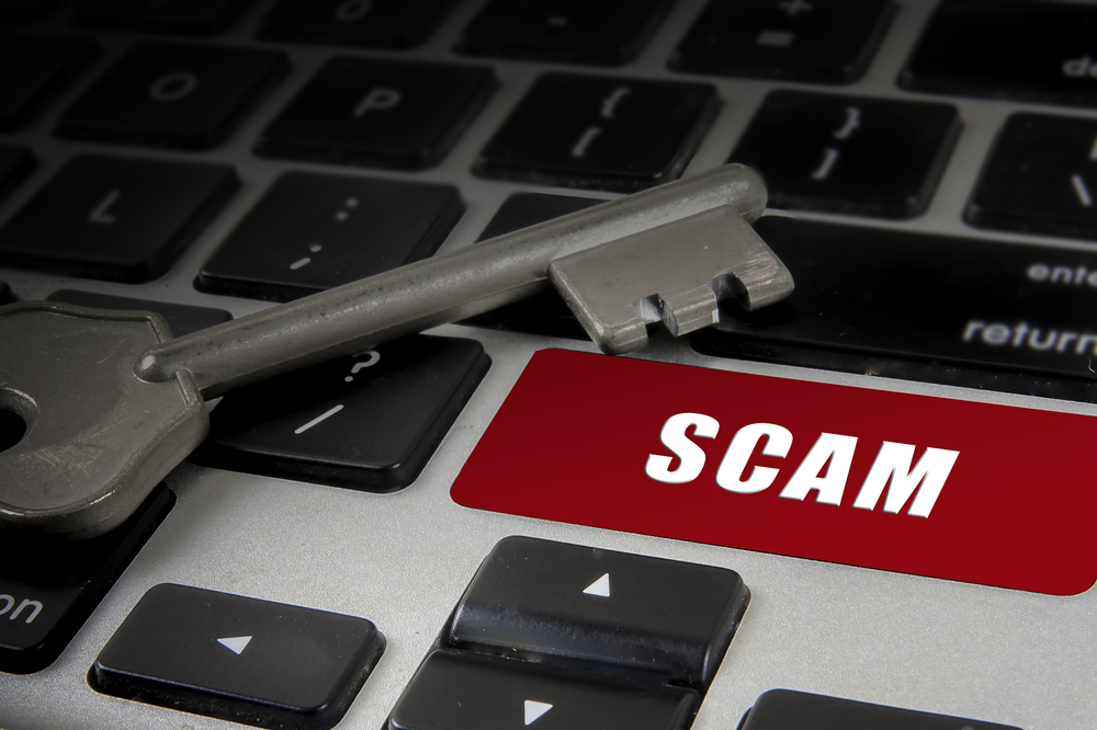 TheMerkle BitBerg scam