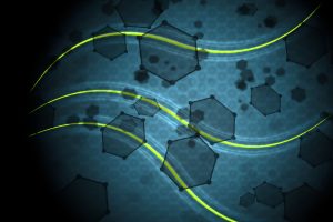 TheMerkle Graphere Transistors