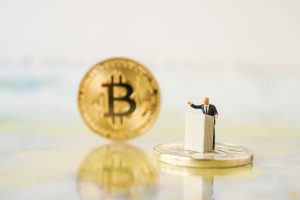TheMerkle Alternative Bitcoin Full Node