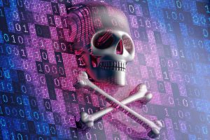 bodnet botnet