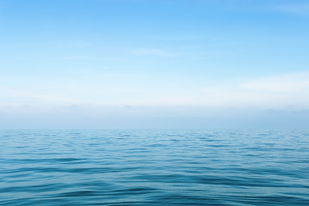 calm bitcoin price
