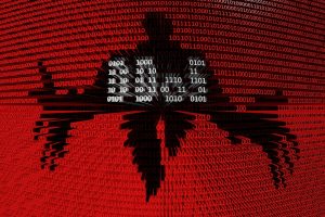 ddos attack