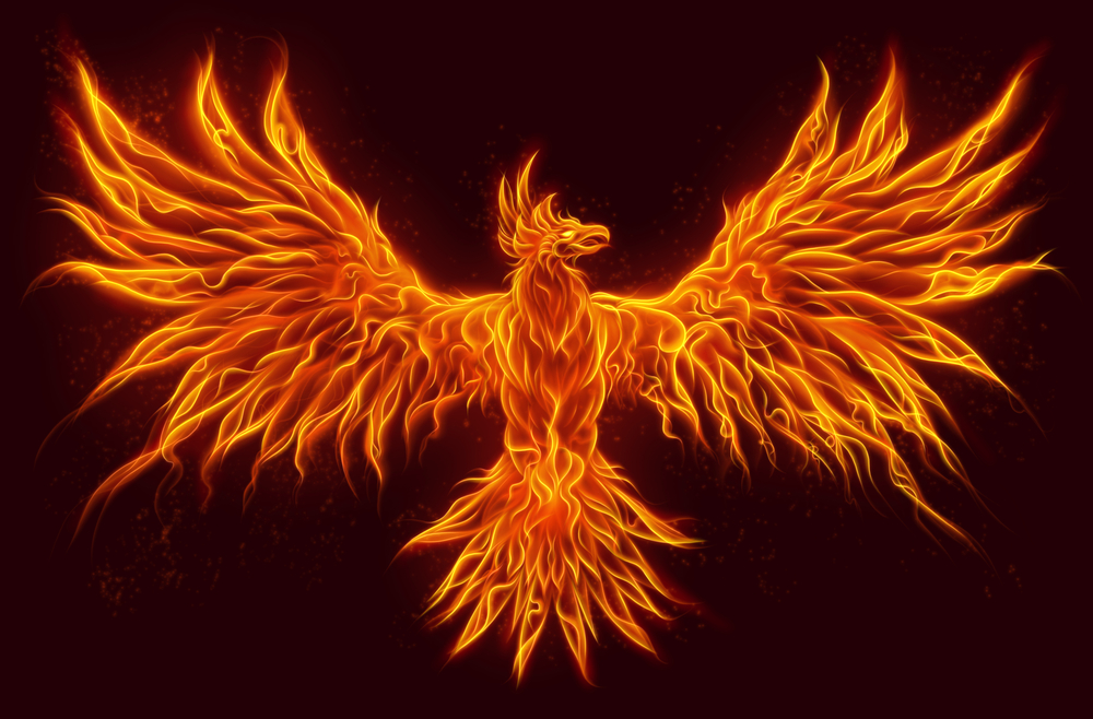 mtgox phoenix