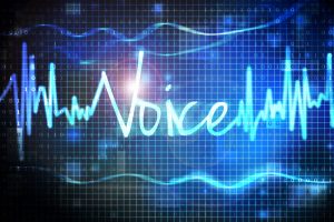 TheMerkle Voice Authentication HSBC