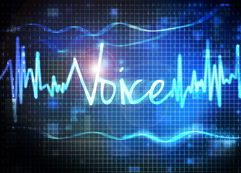 TheMerkle Voice Authentication HSBC