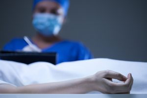 TheMerkle Head Transplant Paper