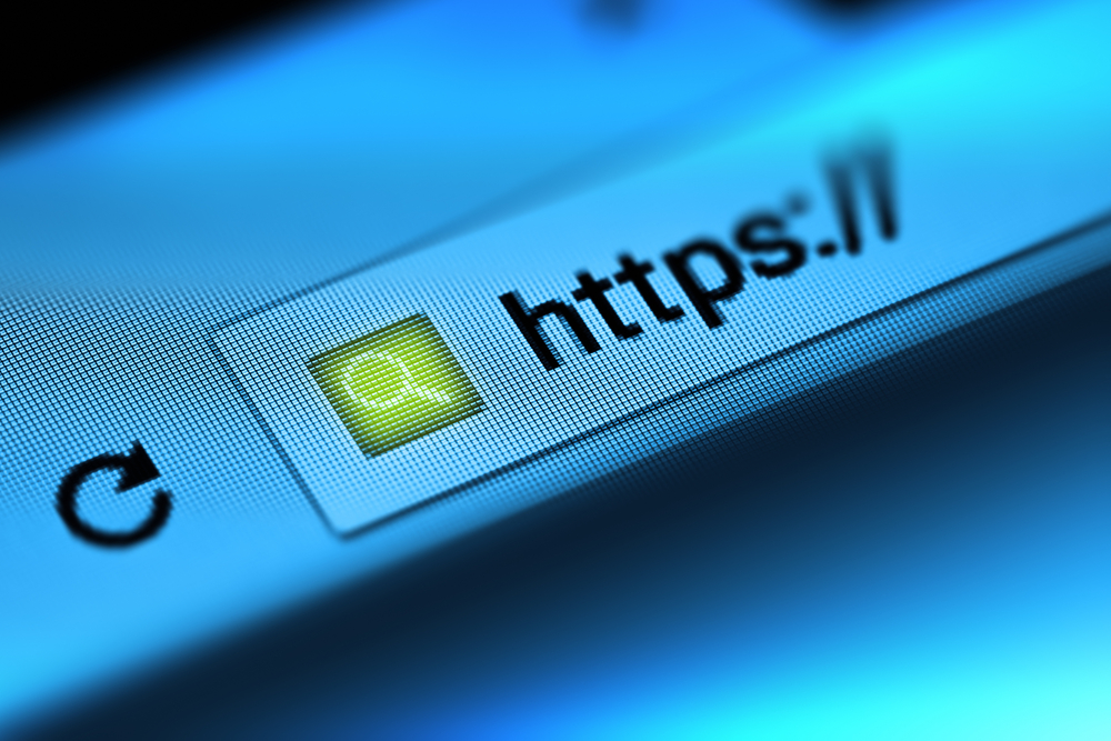 TheMerkle HTTPS phishing