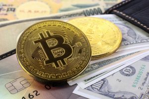TheMerkel Top Software Wallets