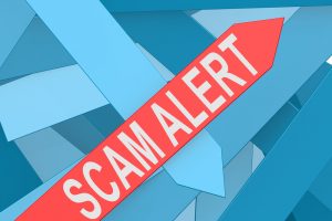 TheMerkle Sennator Bitcoin Scam