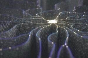 TheMerkle Neural networks Color Naming